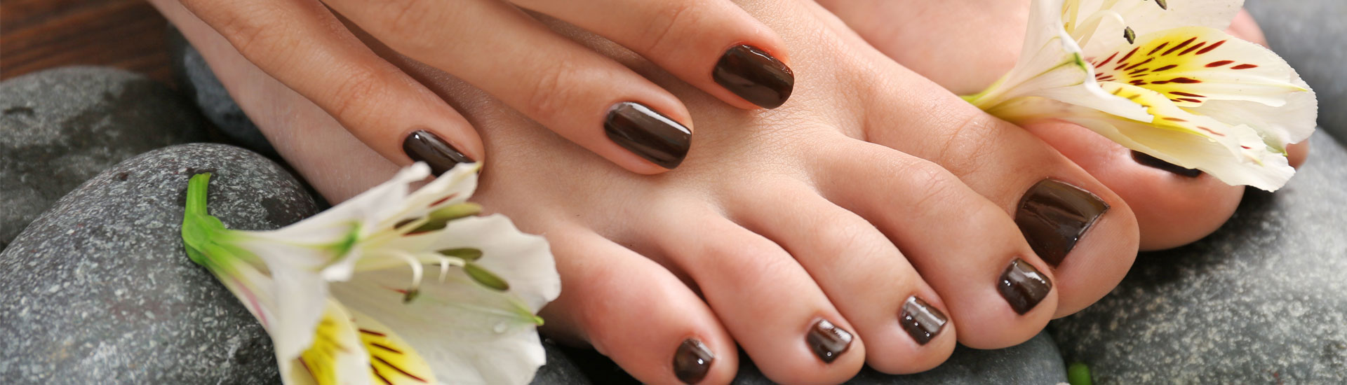 Manicured Female Feet And Hand